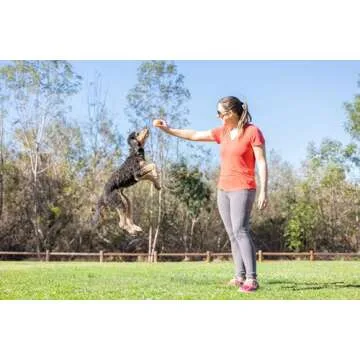 Chuckit! Birthday Fetch Ball for Dogs - Medium Size, Fun Play