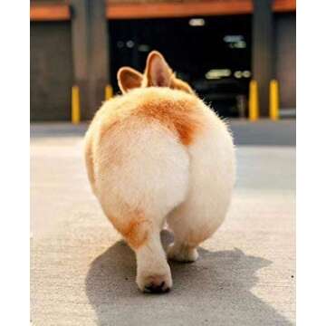 Corgi Cute Butt Plush Throw Pillow – Adorable Gift Idea