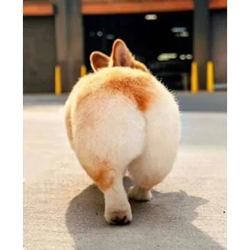 Corgi Cute Butt Plush Throw Pillow – Adorable Gift Idea