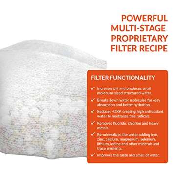 Invigorated Water pH Conscious Filtered Water Bottle - Alkaline Water Filter - Filtering Purifier Bottle - Made from Wheat Straw- Increase pH, 16oz, 450ml