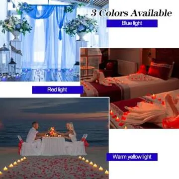 KOABY 2000/4000/8000pcs Artificial Rose Petals with LED Tea Lights Kit, for Special and Romantic Night Valentine Wedding Decor(2000pcs Artificial Rose Petals + 24pcs Blue Lights)