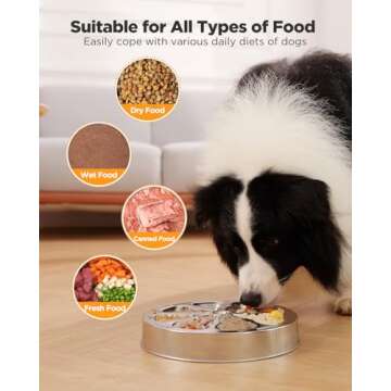 Oiwliur Slow Feeder Dog Bowls - Stainless Steel Non-Slip Metal Slow Feeding Bowl Suitable for Dry, Wet, or Raw Food, 5 Cups Large Capacity Dog Bowl, Double-Sided Design Ideal for All Dog Sizes