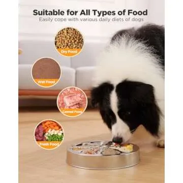 Oiwliur Slow Feeder Dog Bowls - Stainless Steel Non-Slip Metal Slow Feeding Bowl Suitable for Dry, Wet, or Raw Food, 5 Cups Large Capacity Dog Bowl, Double-Sided Design Ideal for All Dog Sizes