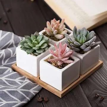 Artificial Succulent Plants Potted - Fake Succulents - Set of 4 - Faux Plants