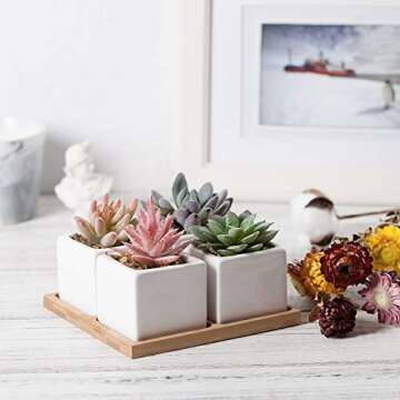 Artificial Succulent Plants Potted - Fake Succulents - Set of 4 - Faux Plants