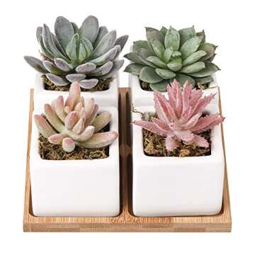 Artificial Succulent Plants Potted - Fake Succulents - Set of 4 - Faux Plants