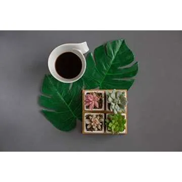 Artificial Succulent Plants Potted - Fake Succulents - Set of 4 - Faux Plants