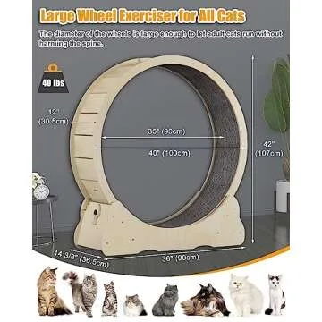 MIWOOYY Large Cat Exercise Wheel 40 inch - Natural Solid Wood Cat Wheel Exerciser for Indoor Cats, Safety Cat Treadmill with Lock & Minimized Gapdesign