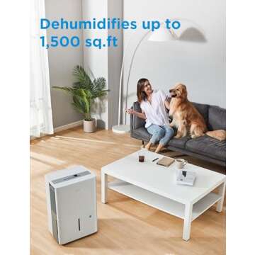 Midea Dehumidifier for Basement