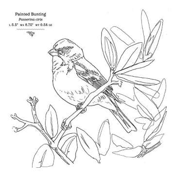 The Sibley Birds Coloring Field Journal: Explore Nature Through Art