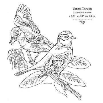 The Sibley Birds Coloring Field Journal for Nature Lovers