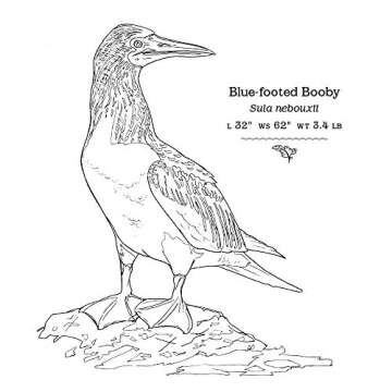 The Sibley Birds Coloring Field Journal for Nature Lovers
