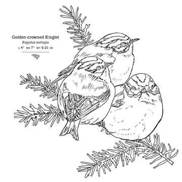 The Sibley Birds Coloring Field Journal for Nature Lovers