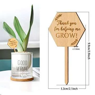 Thank You for Helping Me Grow Succulent Tags Teacher Appreciation Gifts, PARBEE 20PCS Hexagon Plant ...