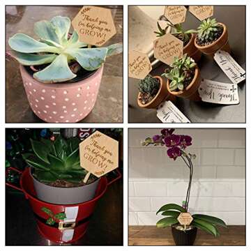 Thank You for Helping Me Grow Succulent Tags Teacher Appreciation Gifts, PARBEE 20PCS Hexagon Plant Stakes Labels Gift for Mother's Day Christmas Thanksgiving Baby Shower