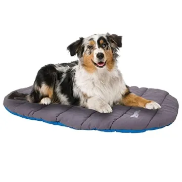 Water Resistant Chuckit Travel Dog Bed for Pets