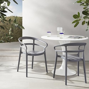 Curved Back Chairs Set of 2 - Stylish, Sturdy Design