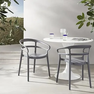 Curved Back Chairs Set of 2 - Stylish, Sturdy Design