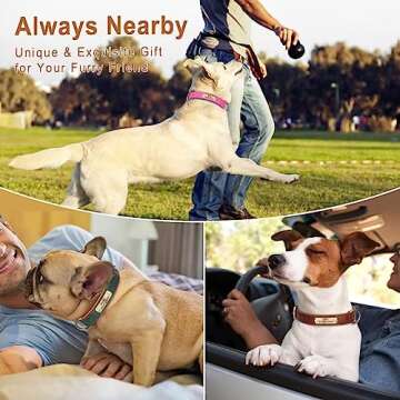 KINYABLUE Personalized Dog Collars, Comfortable Neoprene Padded Leather Collar for Medium Dogs