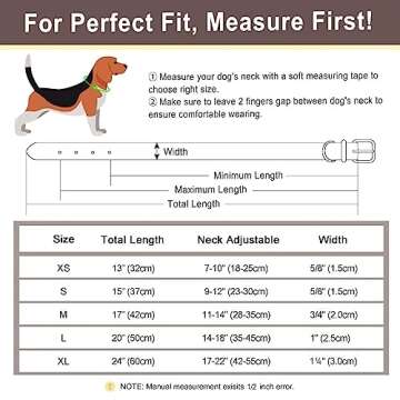 KINYABLUE Personalized Dog Collar With Name Plate