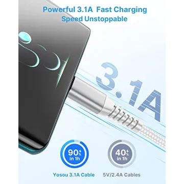 Fast Charging 10ft USB C Cable 2-Pack for Samsung Phones