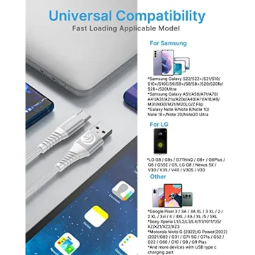 Fast Charging 10ft USB C Cable 2-Pack for Samsung Phones