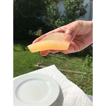 IBIV Kombucha Scoby Live Strong Starter Tea Culture for Healthy Raw Premium Fermented Tea (Over 1 Cu...