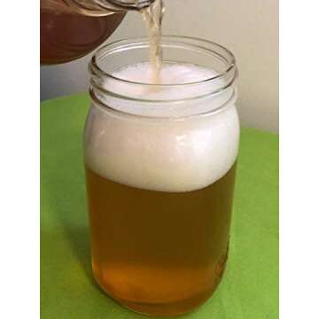 IBIV Kombucha Scoby Live Strong Starter Tea Culture for Healthy Raw Premium Fermented Tea (Over 1 Cup starter Tea Makes 1 Gallon)