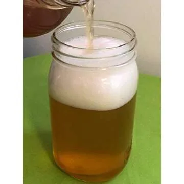 IBIV Kombucha Scoby Live Strong Starter Tea Culture for Healthy Raw Premium Fermented Tea (Over 1 Cup starter Tea Makes 1 Gallon)