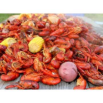 2 Gringos Chupacabra Sampler Set