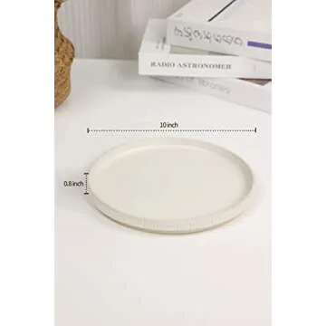 Famiware Stylish Stoneware Dinner Plates Set for 6