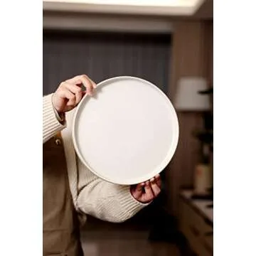 Famiware Stylish Stoneware Dinner Plates Set for 6