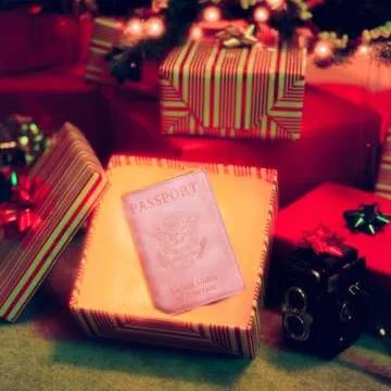 Sizobi Leather Passport Holder Covers Case, Passport Holder for Travel Women, International Travel Must Haves Travel Accessories for Women Men, Cruise Ship Essentials, Passport Book Travel Gifts, Pink