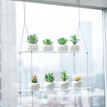 Sumerflos 2-Tier Acrylic Window Boxes Plant Shelves for Window of Kitchen, Bedroom, Living Room, 16 Inch Wall Flower Double Hanger Boxes Adjustable Hanging Shelves for Indoor Plants, Succulents