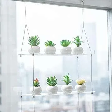 Sumerflos 2-Tier Acrylic Window Boxes Plant Shelves for Window of Kitchen, Bedroom, Living Room, 16 Inch Wall Flower Double Hanger Boxes Adjustable Hanging Shelves for Indoor Plants, Succulents
