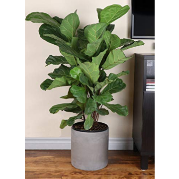 FINEHOUS Mid-Century Cement Planter with Stand