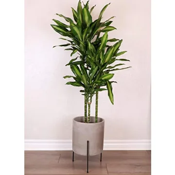 FINEHOUS Mid-Century Cement Planter with Stand