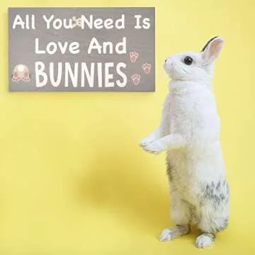 Charming Bunny Decor Gift for Animal Lovers