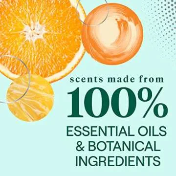 Seventh Generation Clementine Zest Dish Liquid Soap 19 oz