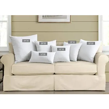 Soft Feather Down Throw Pillows Set of 2 for Comfort