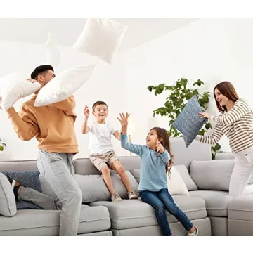 Soft Feather Down Throw Pillows Set of 2 for Comfort