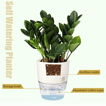 Vanavazon 6 Inch Self-Watering Planter Pots for Plants