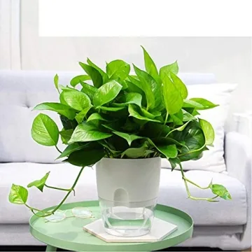 Vanavazon 6 Inch Self-Watering Planter Pots for Plants