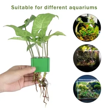 Roetelo 2Pcs Upgraded Aquarium Plant Holder for Tanks
