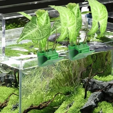 Roetelo 2Pcs Upgraded Aquarium Plant Holder for Tanks