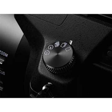 Panasonic LUMIX FZ1000 4K Point and Shoot Camera, 16X LEICA DC VARIO-ELMARIT F2.8-4.0 Lens, 21.1 Megapixels, 1 Inch High Sensitivity Sensor, DMC-FZ1000 (USA BLACK)