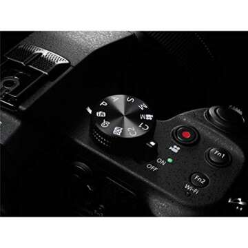 Panasonic LUMIX FZ1000 4K Point and Shoot Camera, 16X LEICA DC VARIO-ELMARIT F2.8-4.0 Lens, 21.1 Megapixels, 1 Inch High Sensitivity Sensor, DMC-FZ1000 (USA BLACK)