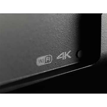 Panasonic LUMIX FZ1000 4K Point and Shoot Camera, 16X LEICA DC VARIO-ELMARIT F2.8-4.0 Lens, 21.1 Megapixels, 1 Inch High Sensitivity Sensor, DMC-FZ1000 (USA BLACK)