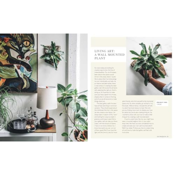 Wild Creations Plant Care Tips and Styling Ideas