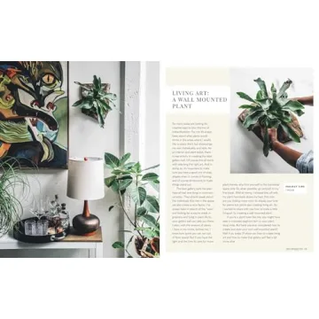 Wild Creations Plant Care Tips and Styling Ideas